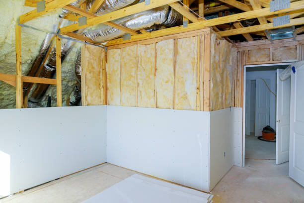 Best Insulation Maintenance and Repair in Palm Springs North, FL