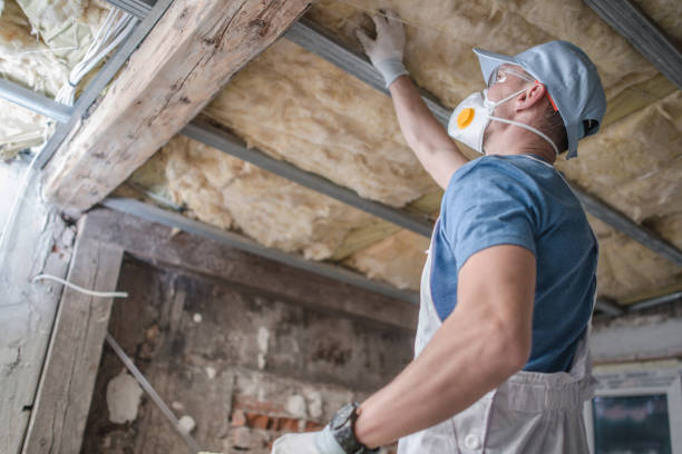Best Spray Foam Insulation in Palm Springs North, FL